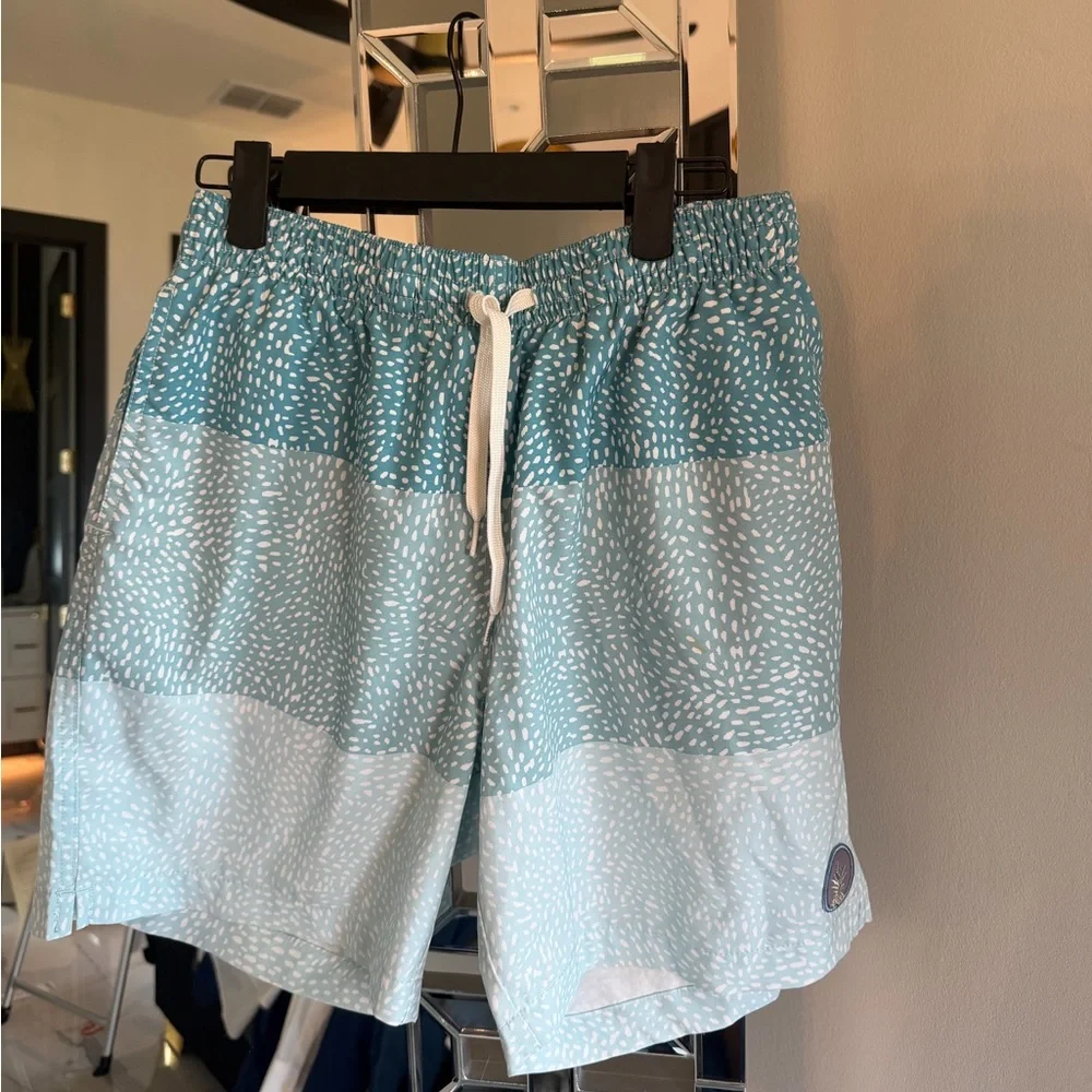 Chubbies swimsuit